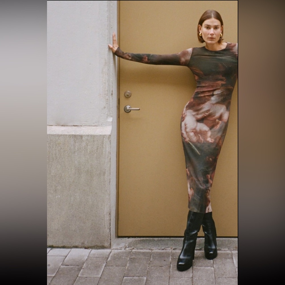 🆕 Zara Tulle Dress SIZE Small